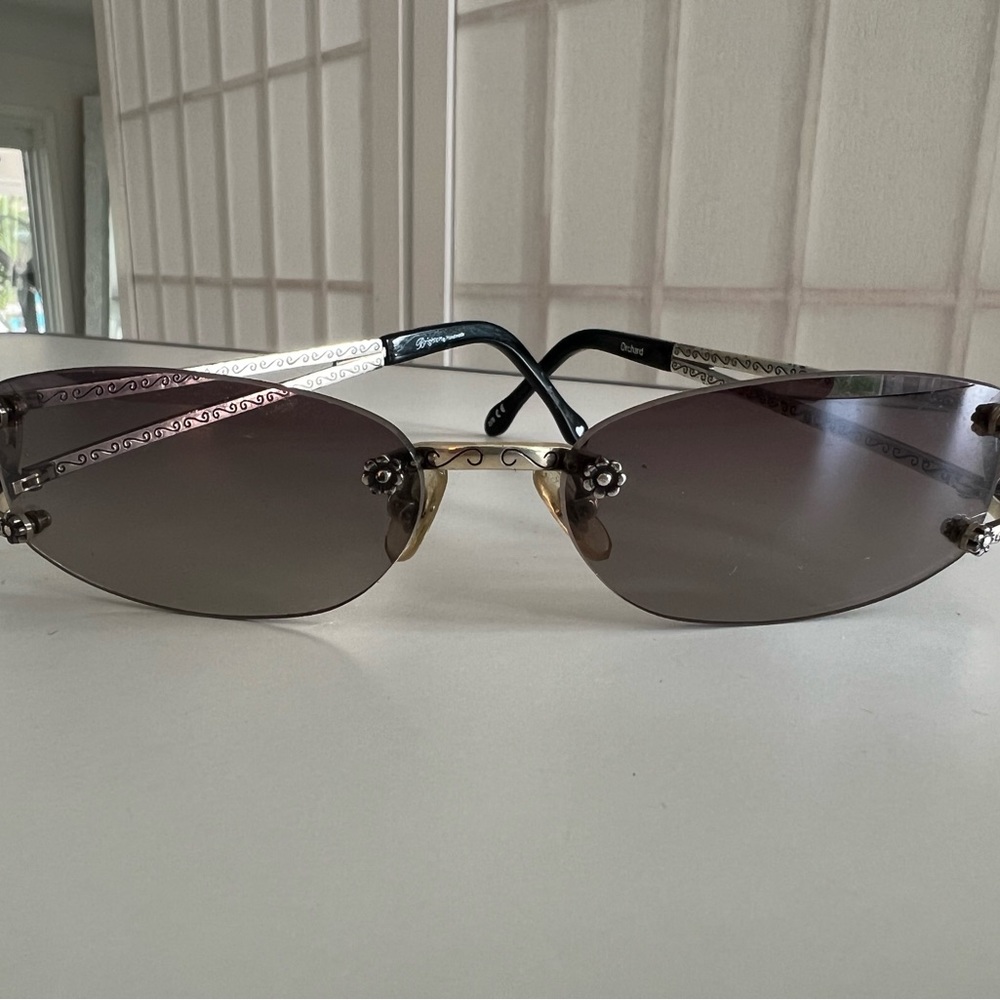 Brighton sunglasses orchard
